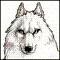 agressorwolf
